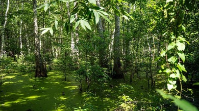 Affordable Mississippi Delta Duck & Deer Hunting Land for - photo 32