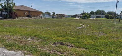 Great opportunity to own your own lot in the city of Cape Coral - photo 3