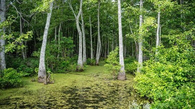 Affordable Mississippi Delta Duck & Deer Hunting Land for - photo 34