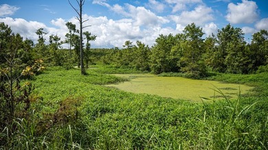Affordable Mississippi Delta Duck & Deer Hunting Land for - photo 36