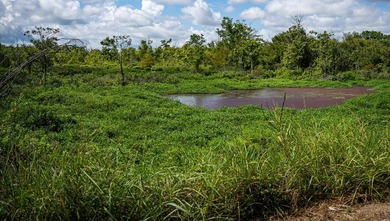 Affordable Mississippi Delta Duck & Deer Hunting Land for - photo 37