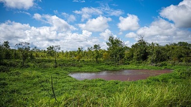 Affordable Mississippi Delta Duck & Deer Hunting Land for - photo 38