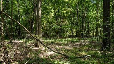 Affordable Mississippi Delta Duck & Deer Hunting Land for - photo 39
