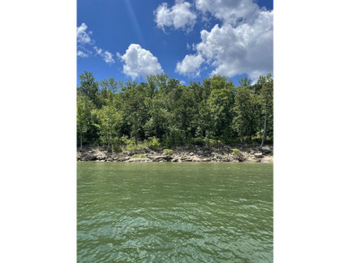Lake Lot For Sale in Edgemont, Arkansas