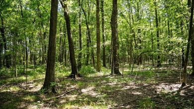 Affordable Mississippi Delta Duck & Deer Hunting Land for - photo 41