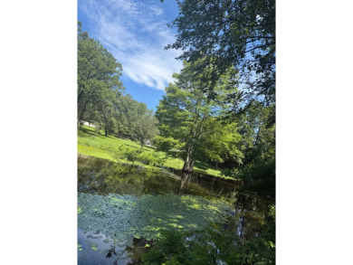 Lake Acreage For Sale in Many, Louisiana