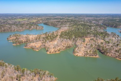 Slick Ford is one of Smith Lake's newest developments. Beautiful - Lake Lot For Sale in Houston, Alabama