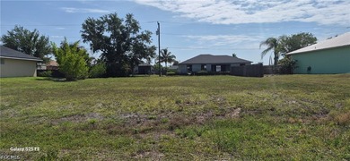 Great opportunity to own your own lot in the city of Cape Coral - photo 1