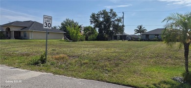 Great opportunity to own your own lot in the city of Cape Coral - photo 2