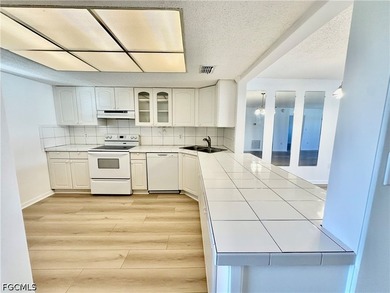 OR BEST OFFER! Gulf access condo with community boat slips and - photo 2