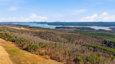 Open Concept floor plan with incredible views of Lake Maumelle - photo 4