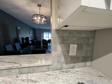 Totally renovated gorgeous Lancaster model in building 32 of - photo 6