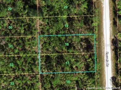 Potentially development area in Punta Gorda. big builders are - photo 1