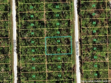 Potentially development area in Punta Gorda. big builders are - photo 2