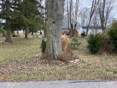 Lake Lot For Sale in Russells Point, Ohio