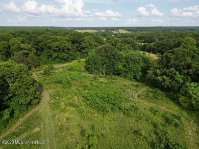 Welcome to this beautiful 52-acre property located in Slayden - photo 11