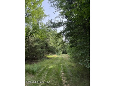 Welcome to this beautiful 52-acre property located in Slayden - photo 13