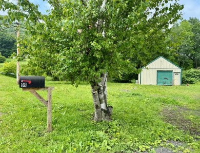Lake Lot For Sale in Harrison Valley, Pennsylvania