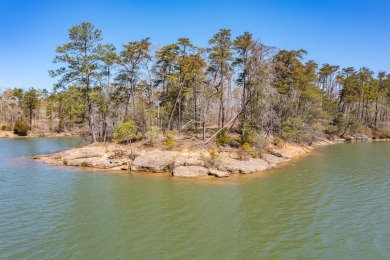 Slick Ford is one of Smith Lake's newest developments. Beautiful - Lake Lot For Sale in Houston, Alabama