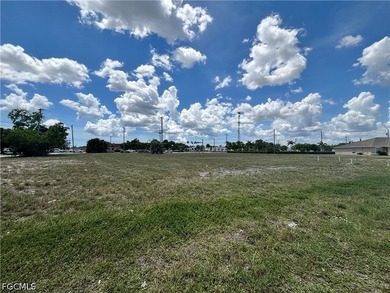 Discover an exceptional investment opportunity in the rapidly - photo 7