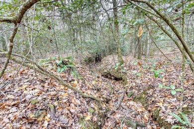 If you are interested in a small working farm (zoned - photo 39