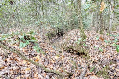 If you are interested in a small working farm (zoned - photo 40
