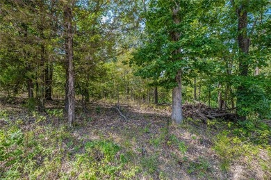 Lake Loch Lomond Lot For Sale in Bella Vista Arkansas