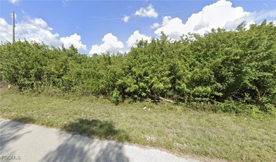 Lehigh Acres Area Lot For Sale in Lehigh Acres Florida