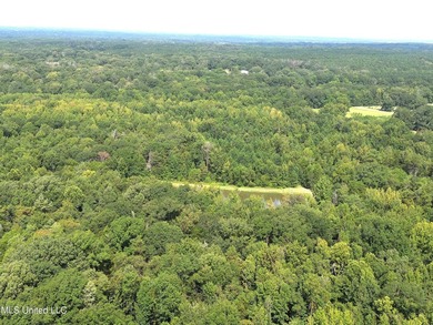 Welcome to your personal haven! This expansive 69.8-acre - photo 2