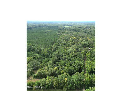 Welcome to your personal haven! This expansive 69.8-acre - photo 4