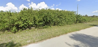 Lehigh Acres Area Lot For Sale in Lehigh Acres Florida