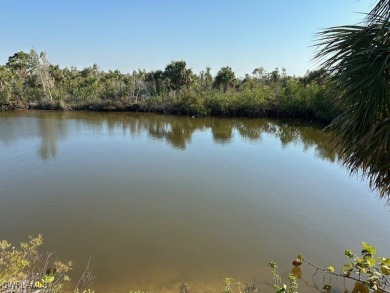 Lake Lot For Sale in Cape Coral, Florida