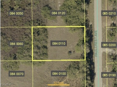 Lehigh Acres Area Lot For Sale in Lehigh Acres Florida