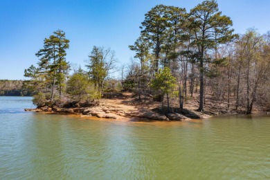 Slick Ford is of Smith Lake's newest developments.  Beautiful - Lake Lot For Sale in Houston, Alabama