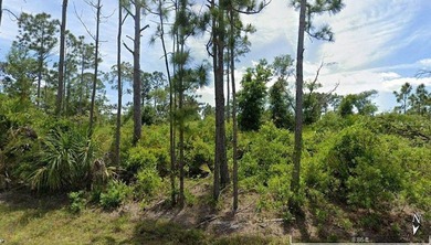 Port Charlotte Waterway Area Lot For Sale in Port Charlotte Florida