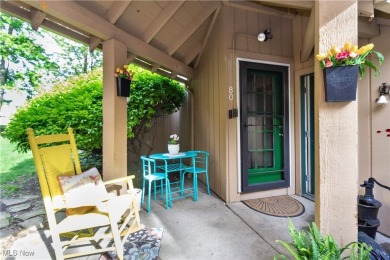 Lake Erie - Lorain County Condo Sale Pending in Avon Lake Ohio