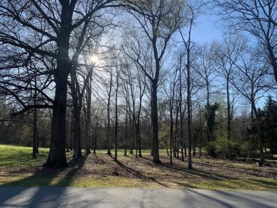 Change your life, Change your view...and this one is lovely! - Lake Lot For Sale in Greenwood, South Carolina