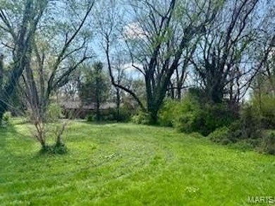 28 acre residential building lot available just east of IL 159 - photo 2