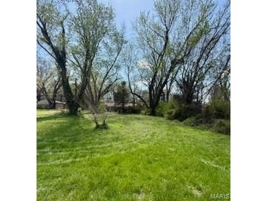 28 acre residential building lot available just east of IL 159 - photo 3
