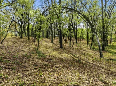 Perched atop a scenic knoll, this beautiful 1.5-acre wooded - photo 3