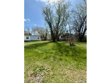 28 acre residential building lot available just east of IL 159 - photo 4