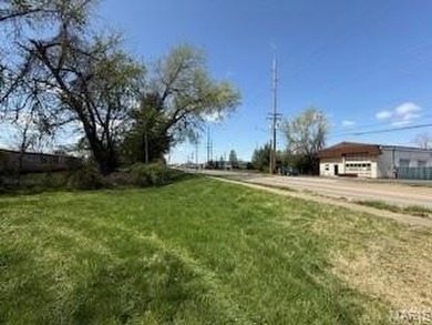 28 acre residential building lot available just east of IL 159 - photo 5
