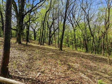 Perched atop a scenic knoll, this beautiful 1.5-acre wooded - photo 5