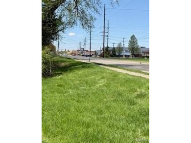 28 acre residential building lot available just east of IL 159 - photo 6