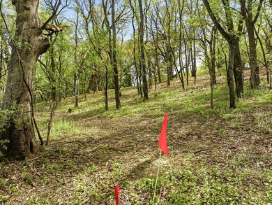 Perched atop a scenic knoll, this beautiful 1.5-acre wooded - photo 6