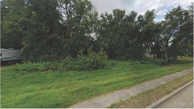 28 acre residential building lot available just east of IL 159 - photo 8