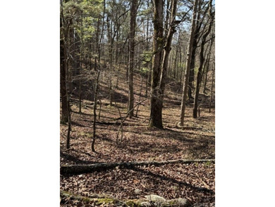 Wooded 5.39+/- acres ready for your dream home in a quiet - photo 1