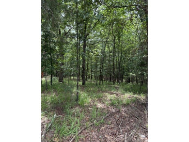 Wooded 5.39+/- acres ready for your dream home in a quiet - photo 2