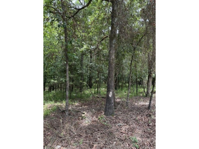 Wooded 5.39+/- acres ready for your dream home in a quiet - photo 3
