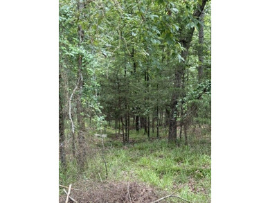 Wooded 5.39+/- acres ready for your dream home in a quiet - photo 4